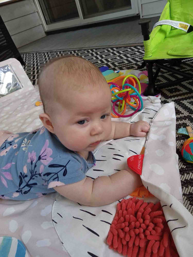 Photo of Christine M. - Wonder Lake, IL