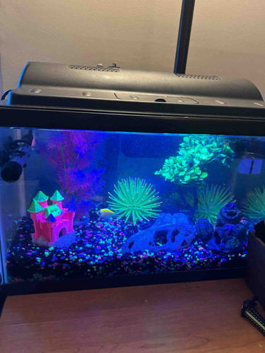 Photo of Mona’s Daycare - Eagan, MN