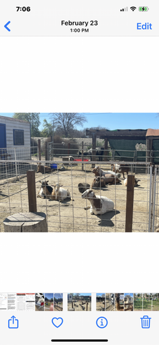 Photo of Huffman Family Daycare - Carson, CA