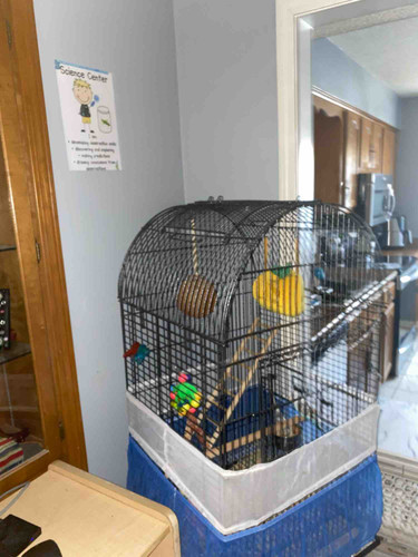 Photo of Boss Babies Home Daycare - Memphis, TN