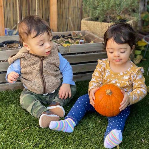 Photo of Tree House Child Care Daycare - Glendale, CA