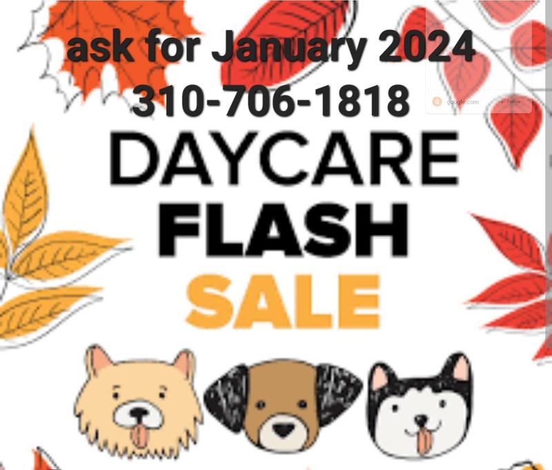 Photo of Martha's Angels Daycare - Hawthorne, CA