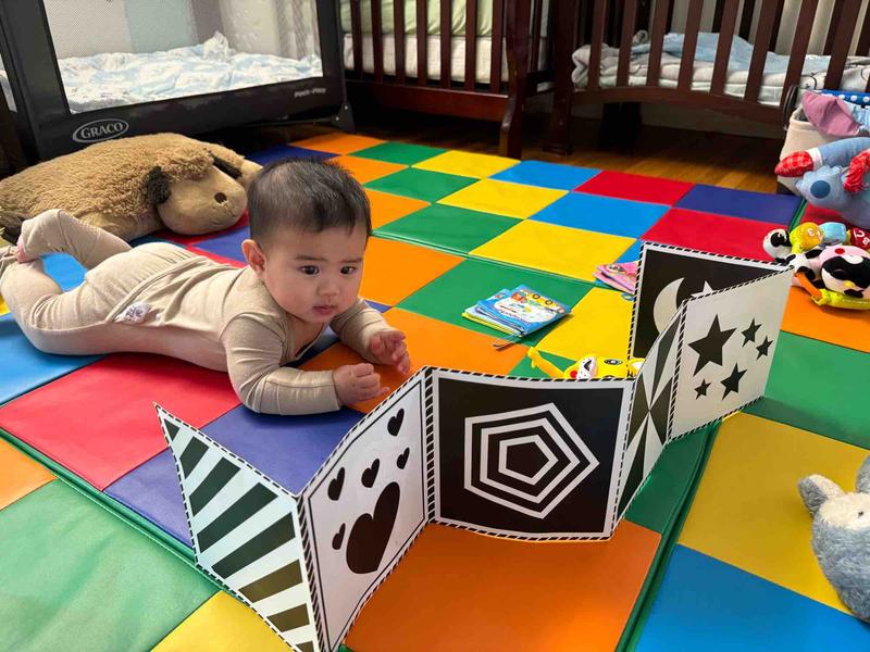 Photo of Little Bird Academy - Garden Grove, CA