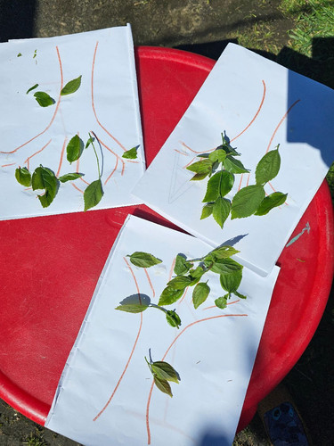 Photo of Wonder World Preschool And Daycare - Los Angeles, CA