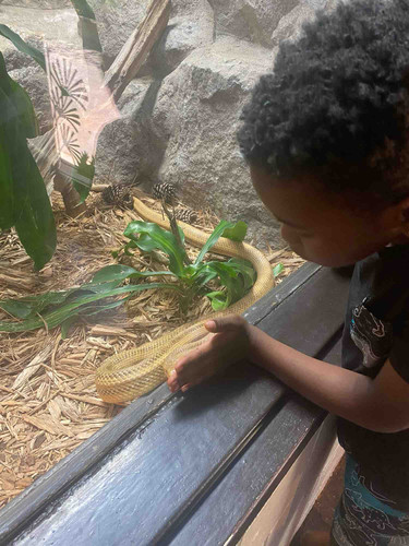 Photo of Kendra P. - Greenville, SC