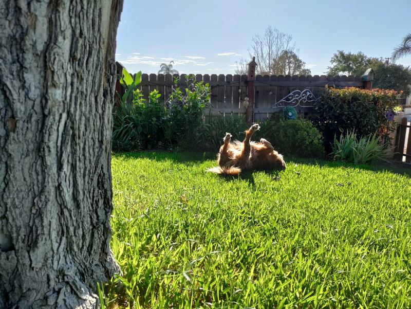 Photo of The Wild Ones: A Small Home Daycare - Alta Loma, CA
