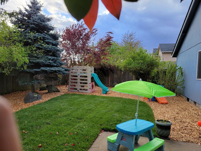 Photo of Tiny Humans Playcare - Portland, OR