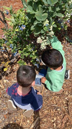 Photo of Sandyland Kids Daycare - Corona, CA