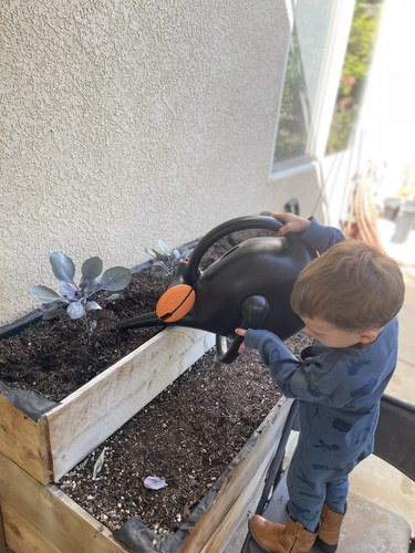 Photo of Crafty Bear Childcare MH INC - Murrieta, CA