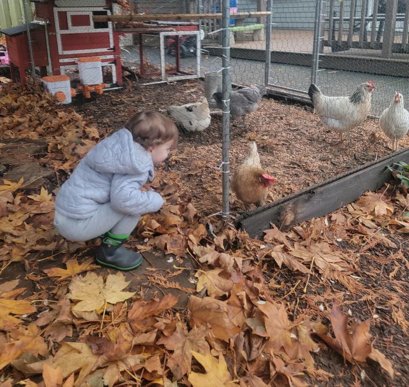 Photo of Liceo Infantil, LLC. - Portland, OR