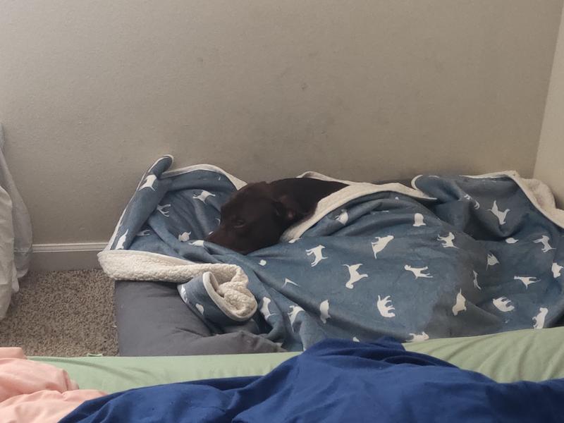 Photo of Lauren W. - North Bend, WA