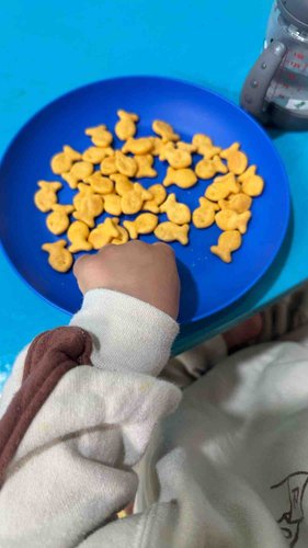 Photo of Cradle Daycare - Foothill Ranch, CA