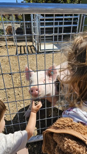 Photo of My Kids Klub - Livermore, CA