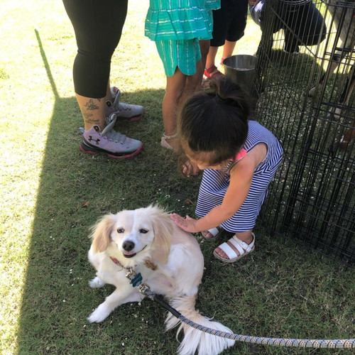 Photo of Helping Hands Preschool and Daycare - Bakersfield, CA