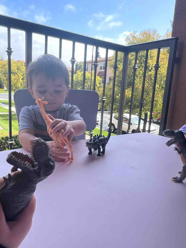 Photo of Sun Shine - California, CA