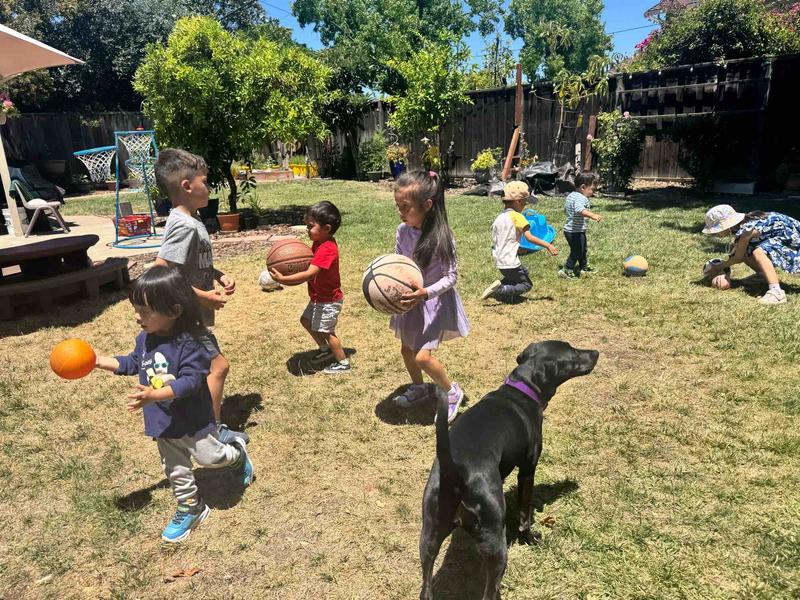 Photo of Apple Tree  Montessori Home Preschool & Childcare - San Jose, CA