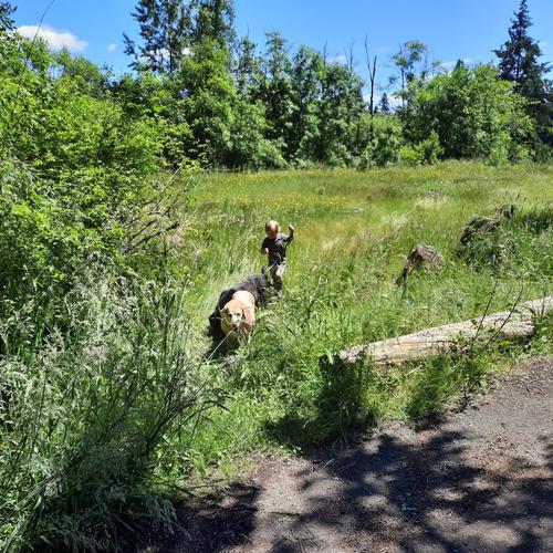 Photo of Amanda Lee S. - Vancouver, WA