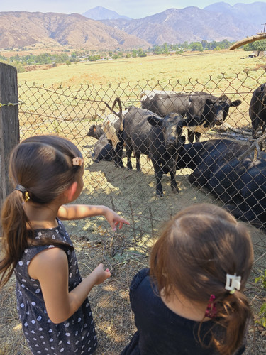Photo of Maez Family Child Care - Redlands, CA
