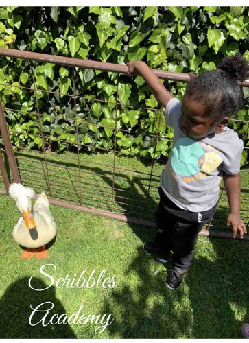 Photo of Scribbles Academy - Los Angeles, CA