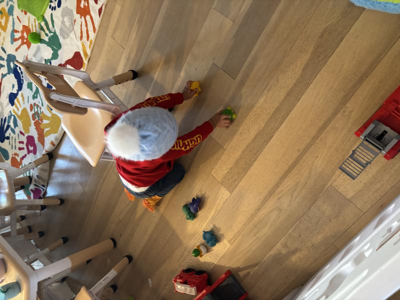 Photo of VERA Andrade Viera - Milford, MA