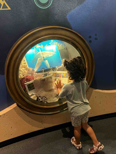 Photo of Palmer Family Childcare Daycare - Paramount, CA