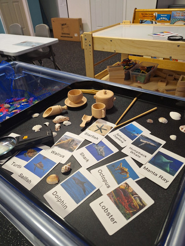 Photo of Brittany Truitt Daycare - Salisbury, MD