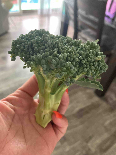 Photo of Rocking Knowledge Family Home Daycare - Los Angeles, CA