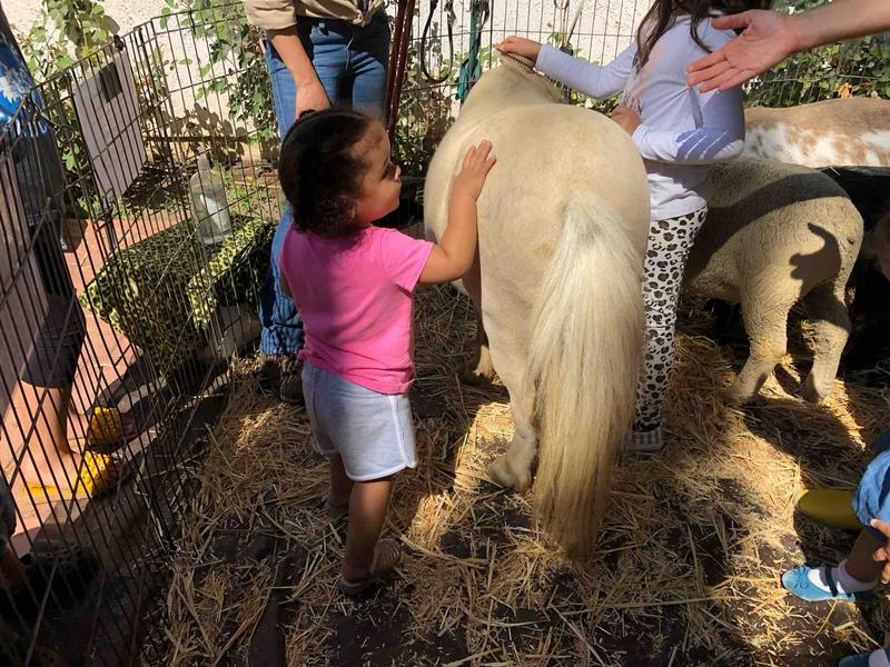 Photo of Angel Montessori Preschool Daycare - Los Angeles, CA