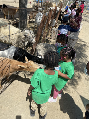 Photo of Full Gospel Child Development Daycare - Los Angeles, CA