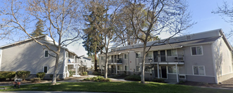 Photo of Parisa's Daycare