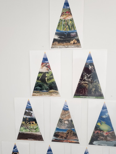 Photo of Nova Night Care Family Child Care - Fredericksburg, VA