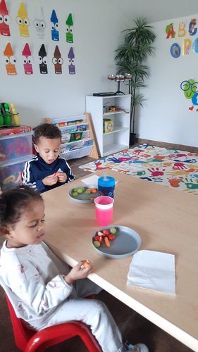 Photo of Little Sheep Of Jesus - Albany, NY