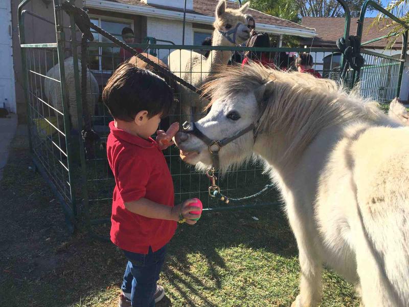 Photo of Veronica Fcc Aka Abc Learning Tree Daycare - Simi Valley, CA