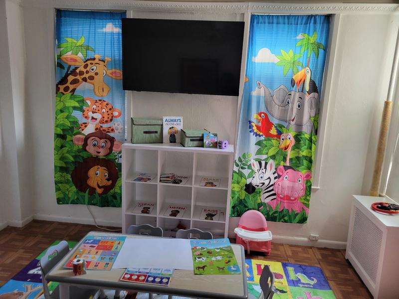 Photo of The Blue Hippo Daycare - Brooklyn, NY