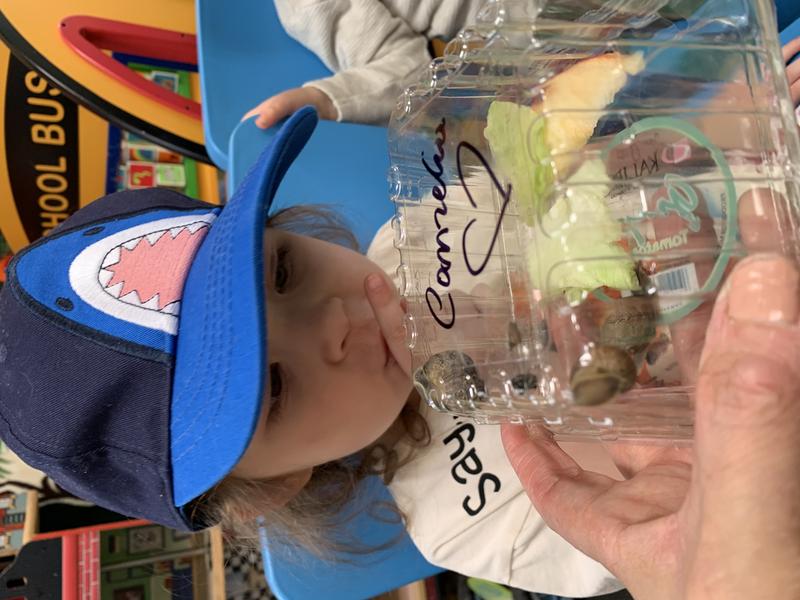 Photo of Skeyci Children Programs Daycare - Castro Valley, CA