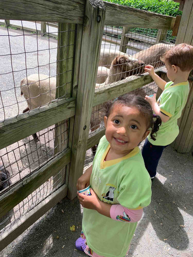 Photo of Babyland Daycare Astoria - Astoria, NY