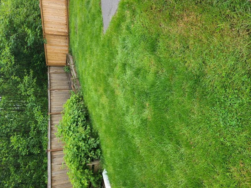 Photo of Sunshine Home Daycare - Federal way, WA