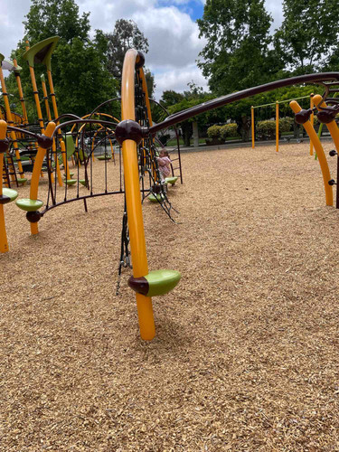 Photo of The Wild Sprouts - Pleasanton, CA