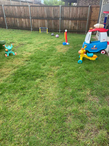 Photo of Baby Boomers Preparatory Academy - Little Elm, TX