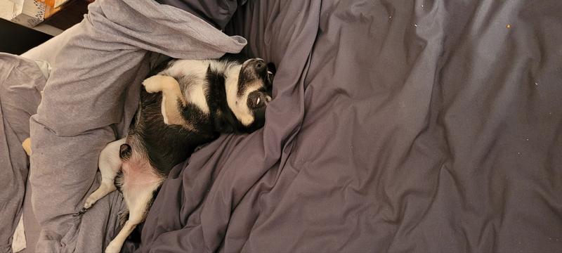 Photo of Aimee C. - Bakersfield, CA