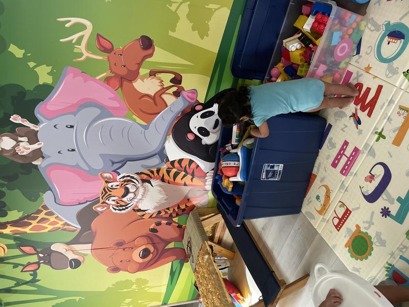 Photo of Almas Family Daycare - West Hills, CA