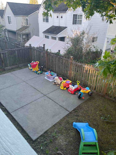 Photo of Little Bright Stars - Seattle, WA