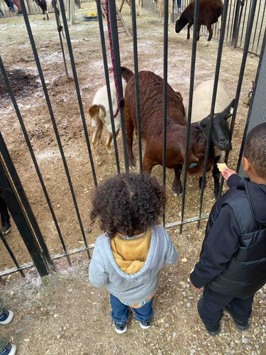 Photo of Alahnne Little angels Daycare - Detroit, MI