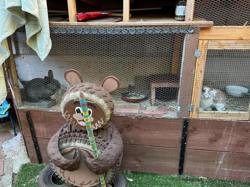 Photo of Rainforest Family Childcare - Santa Barbara, CA