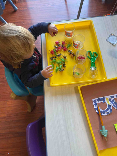 Photo of Little Stars Daycare - North Highlands, CA