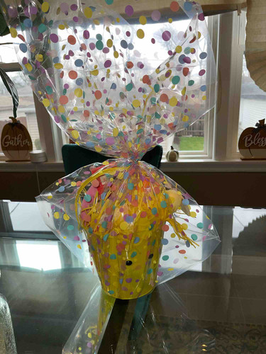 Photo of Tiny Toes Learning Academy - Calumet Park, IL