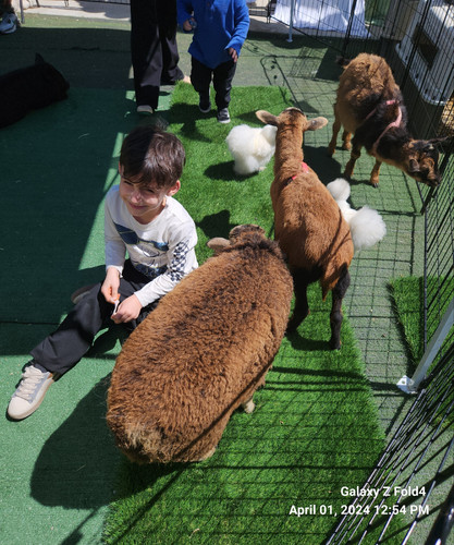 Photo of Melkonyan Family Child Care Daycare - Winnetka, CA