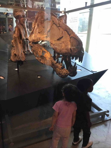 Photo of Scribbles Academy - Los Angeles, CA