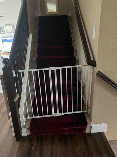 Photo of Shabana Danish - Roseville, CA