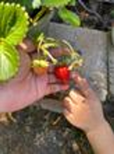 Photo of Deidra's Daycare - East Palo Alto, CA